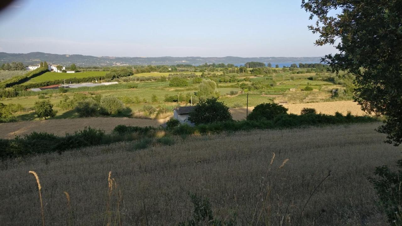 Agriturismo La Villetta San Lorenzo Nuovo Exterior photo